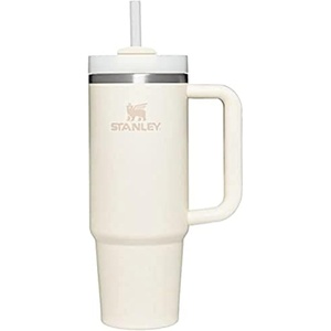 STANLEY Halloween Quencher H2.0 Flow State Tumbler, 20 oz, Black Magic(Cream)