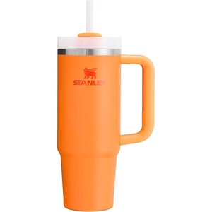 STANLEY Halloween Quencher H2.0 Flow State Tumbler, 20 oz, Black Magic(Goldenrod)