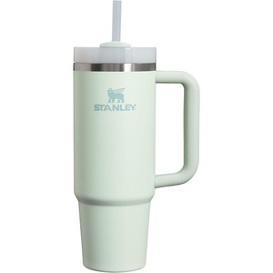 STANLEY Halloween Quencher H2.0 Flow State Tumbler, 20 oz, Black Magic(Mist)