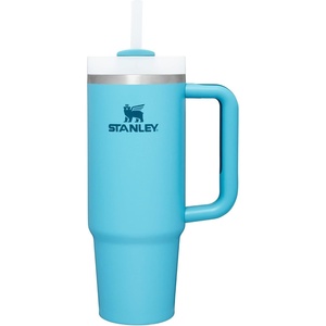 STANLEY Halloween Quencher H2.0 Flow State Tumbler, 20 oz, Black Magic(Pool)