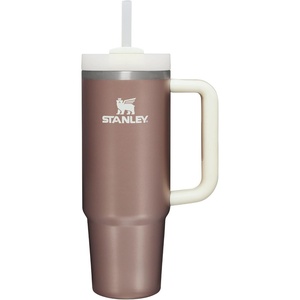 STANLEY Halloween Quencher H2.0 Flow State Tumbler, 20 oz, Black Magic(Rose Quartz Glow)